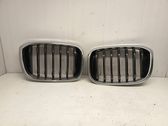 Front bumper upper radiator grill