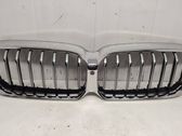 Front bumper upper radiator grill