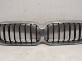 Front bumper upper radiator grill