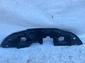 Front bumper skid plate/under tray