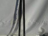 Front sill (body part)