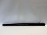 Front door trim (molding)