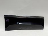 Rear door trim (molding)