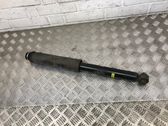 Rear shock absorber/damper