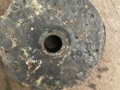Rear coil spring rubber mount
