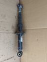 Rear shock absorber/damper