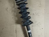 Rear shock absorber/damper