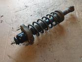 Rear shock absorber/damper