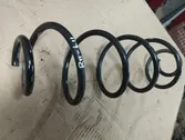 Rear coil spring