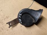 Horn signal