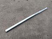 Front door trim (molding)