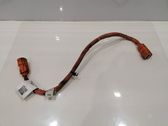 Other wiring loom