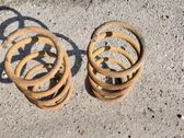 Front coil spring