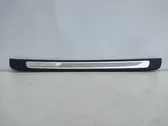 Front sill trim cover