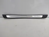 Front sill trim cover