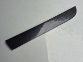 Rear door trim (molding)