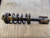 Front shock absorber with coil spring