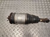 Shock absorber/damper/air suspension