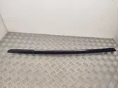 Windshield trim