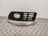 Front fog light trim/grill