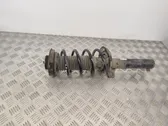 Front shock absorber with coil spring