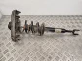 Front shock absorber with coil spring