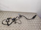 Front door wiring loom