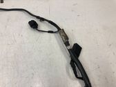 Faisceau de câblage pour moteur