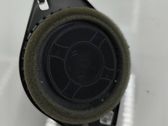 Panel speaker