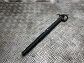 Tailgate/trunk strut/damper