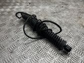 Tailgate/trunk strut/damper