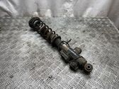 Rear shock absorber/damper