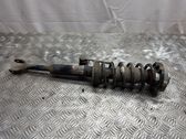Front shock absorber with coil spring
