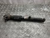 Rear shock absorber/damper