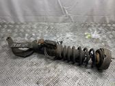 Front shock absorber/damper