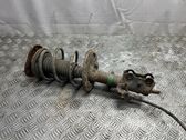 Front shock absorber with coil spring