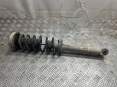 Rear shock absorber with coil spring