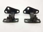 Tailgate/trunk/boot hinge