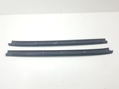 Windshield trim