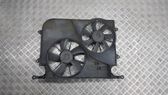 Electric radiator cooling fan