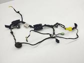 Front door wiring loom