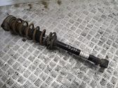 Rear shock absorber with coil spring