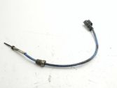 Exhaust gas temperature sensor