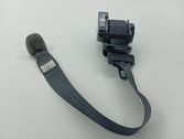 Middle seatbelt (rear)