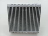 Gaisa kondicioniera radiators (salonā)