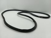 Trunk rubber seal (body)