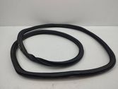 Rear door rubber seal (on body)