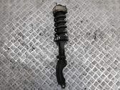 Front shock absorber with coil spring