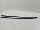 Windshield trim