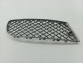 Front bumper lower grill